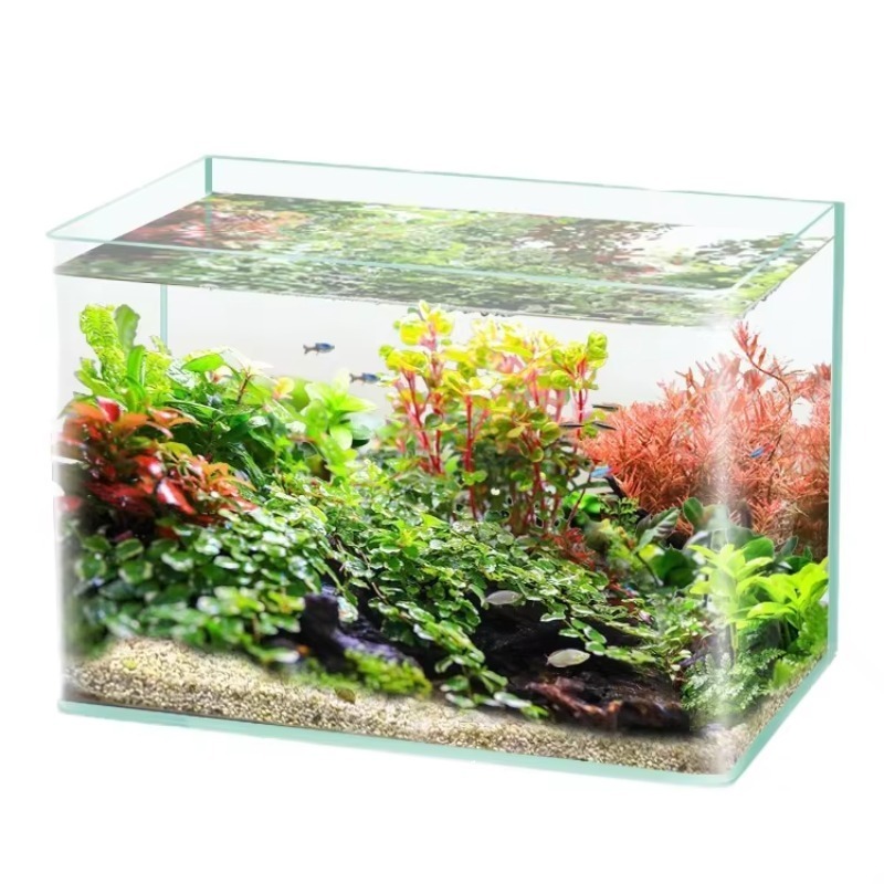 Box Fish In Aquarium - Embalagem de caixa de aquário de
