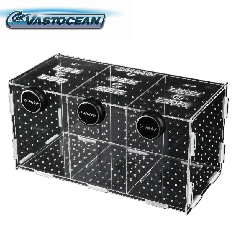 Box Fish In Aquarium - VASTOCEANO-Magnético Combinado Acrílico Caixa De Isolamento