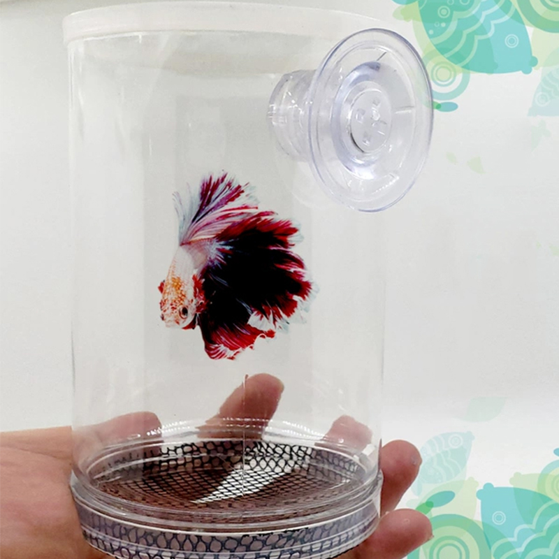 Aquarium Fish Supplier - Multifuncional Suspenso Aquarium Fish Tank Isolation