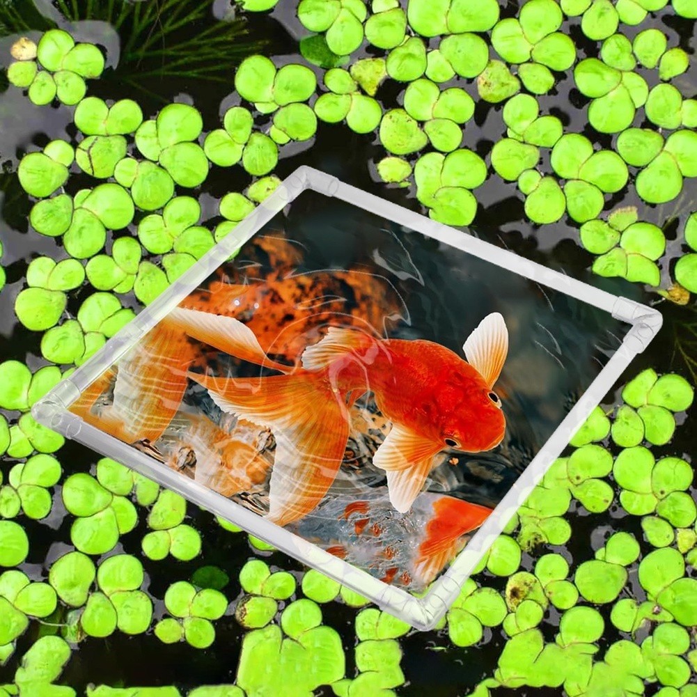 Aquarium Fish Zone - Cercado Flutuante para Plantas de Aquário
