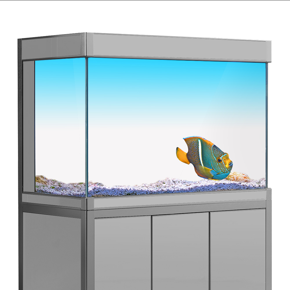 Aquarium Fish Yellow - Adesivo de fundo para tanque de