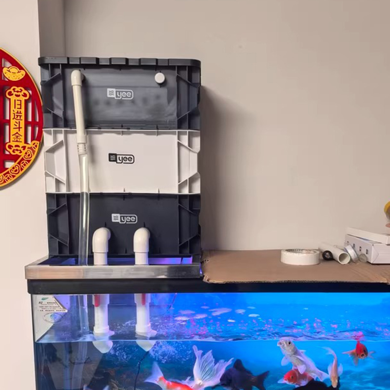Box Fish In Aquarium - Filtros para tanque de peixes, caixa