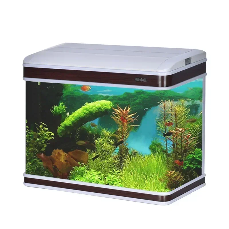 Aquarium Fish Supplier - Fornecedor profissional de aquário, tanque de