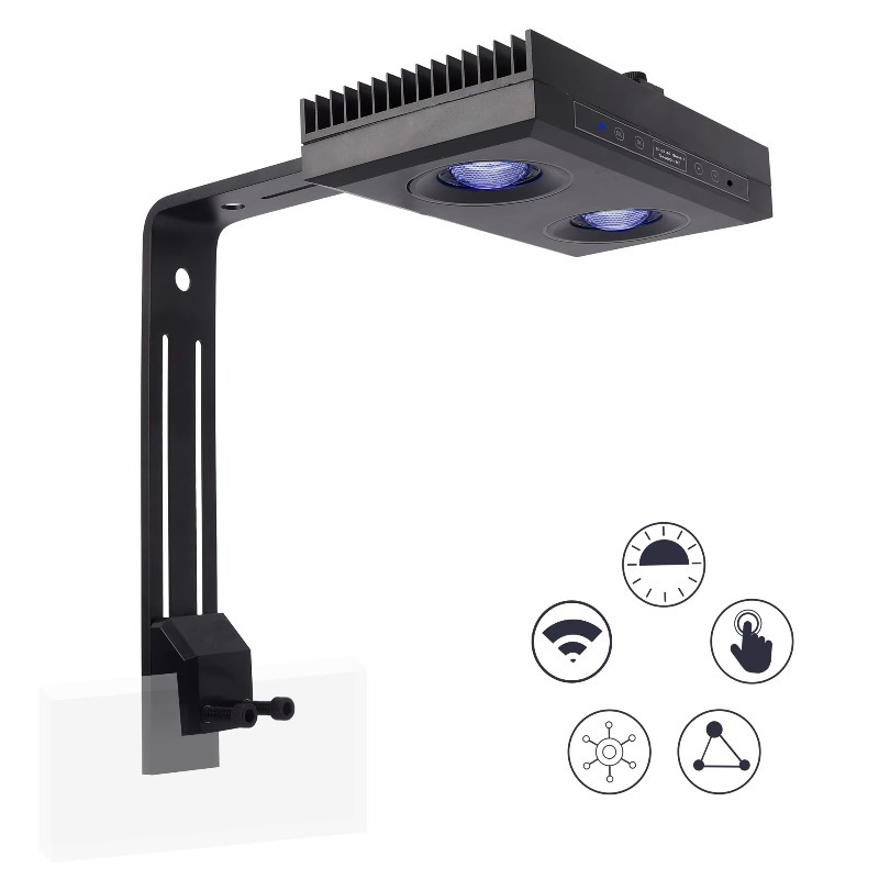 Aquarium Fish Supplier - Fornecedor da China Luz de aquário