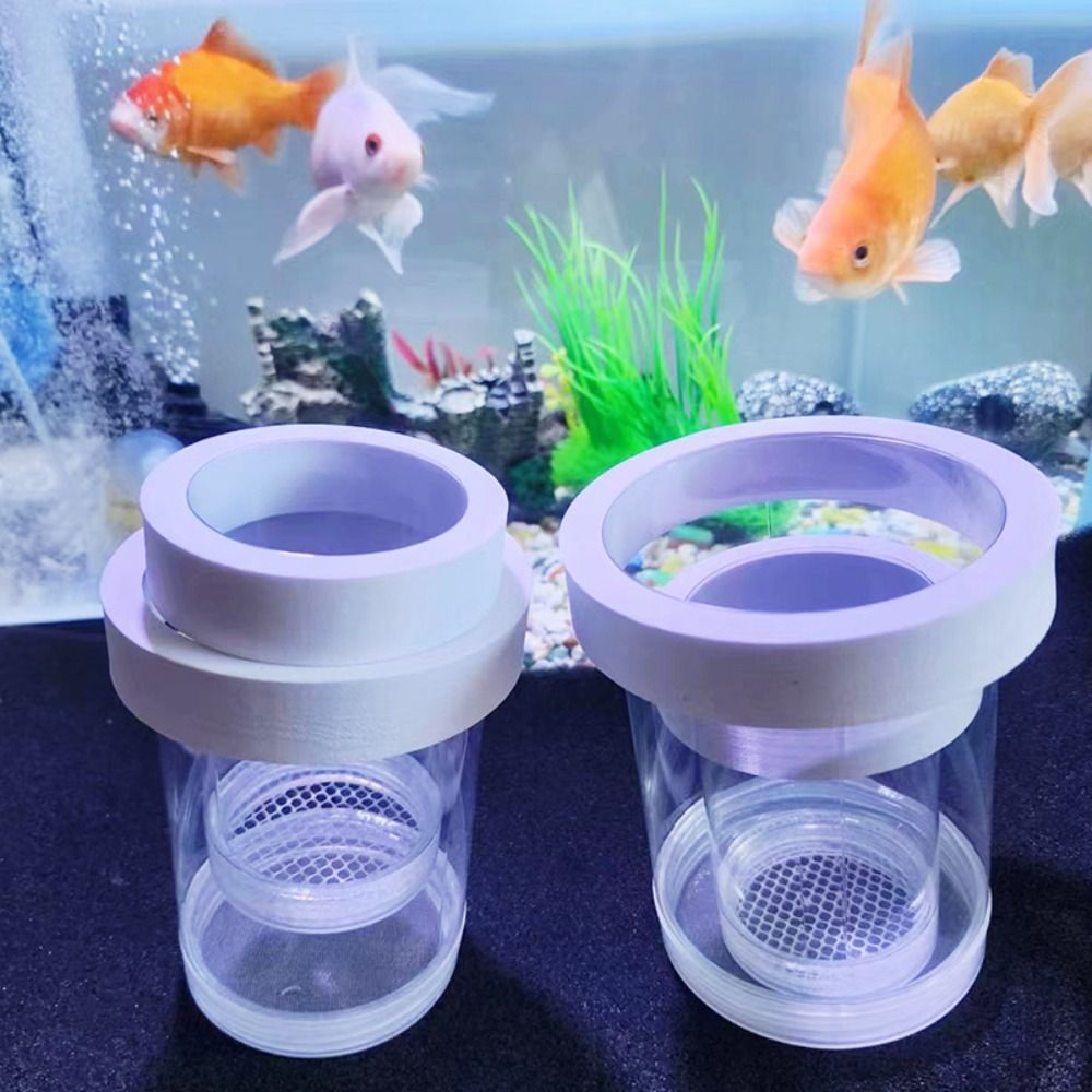 Box Fish In Aquarium - Plástico flutuante caixa de isolamento de