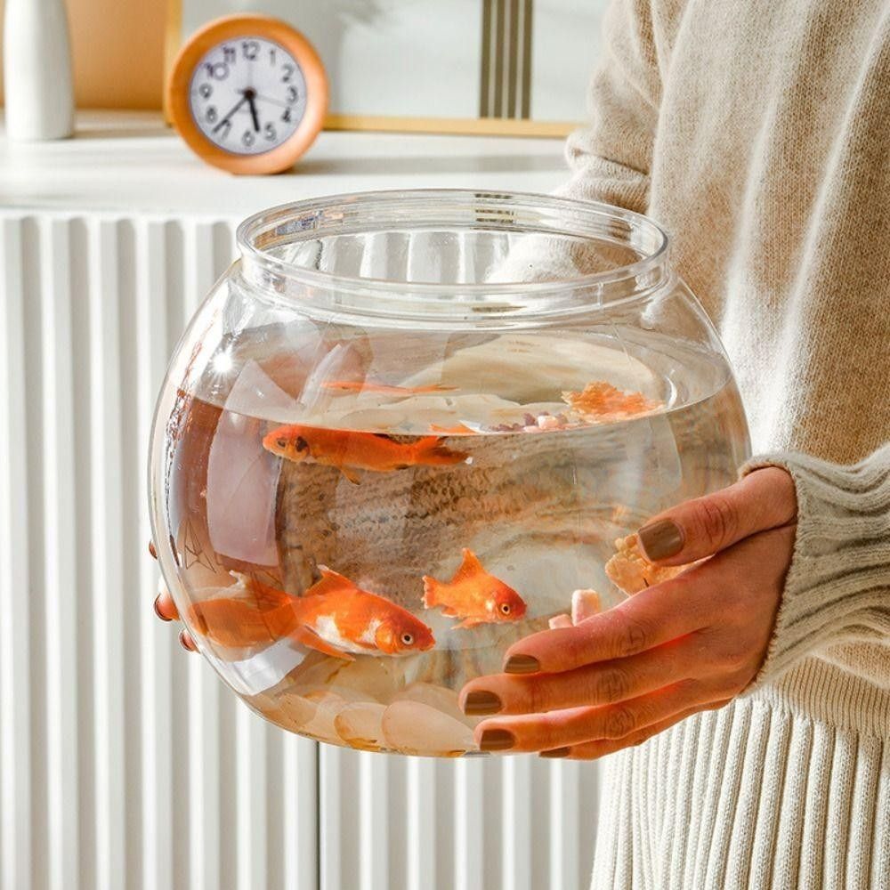 Aquarium Goldfish - Novo tanque de peixes transparente redondo