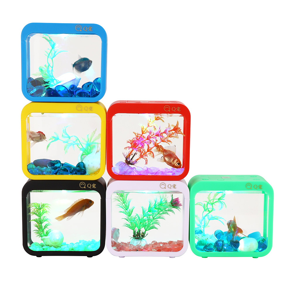 Caixa criativa colorida betta  - Aquarium Goldfish avaliação e preço