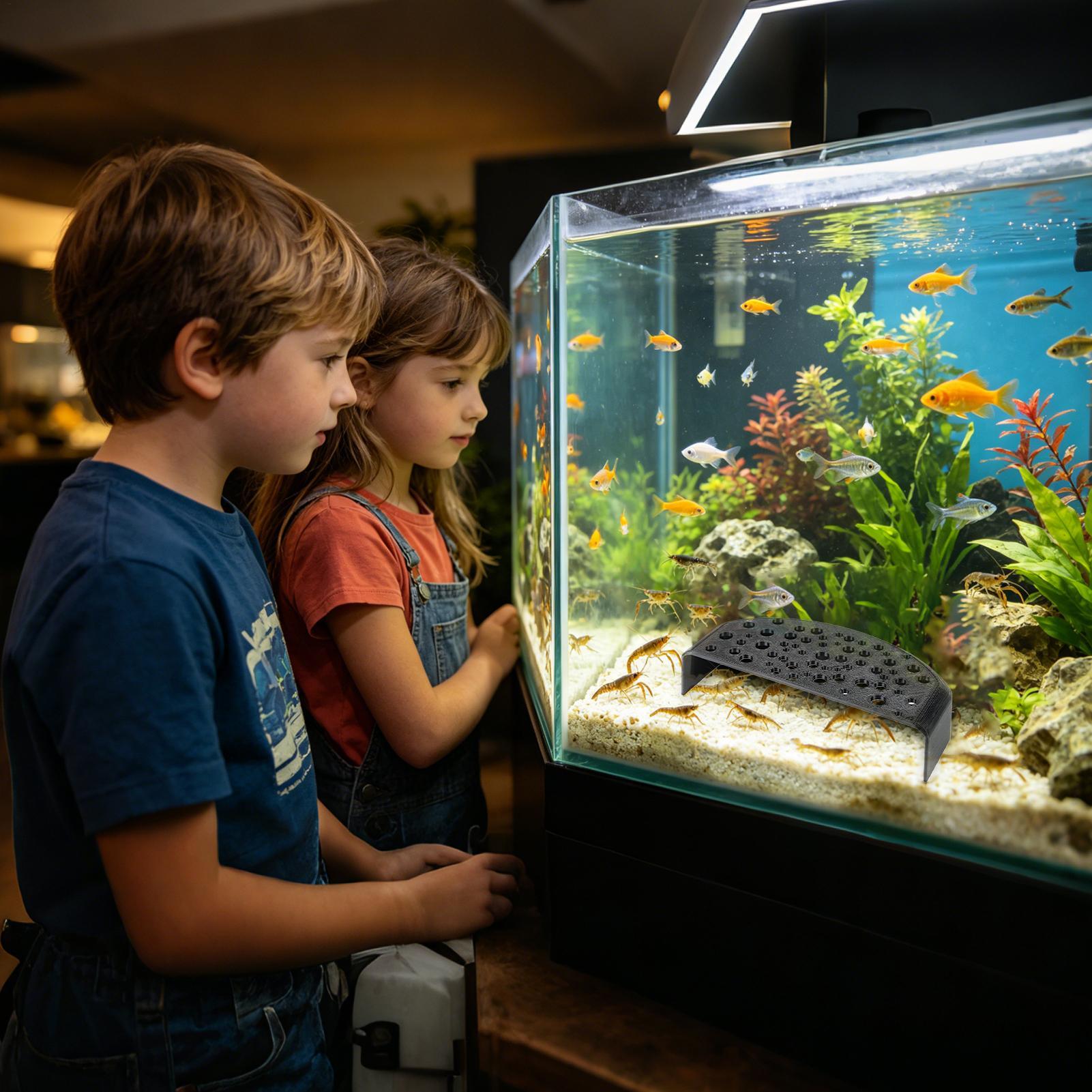 Ornamento Aquático para Descan - Aquarium Fish Zone avaliação e preço