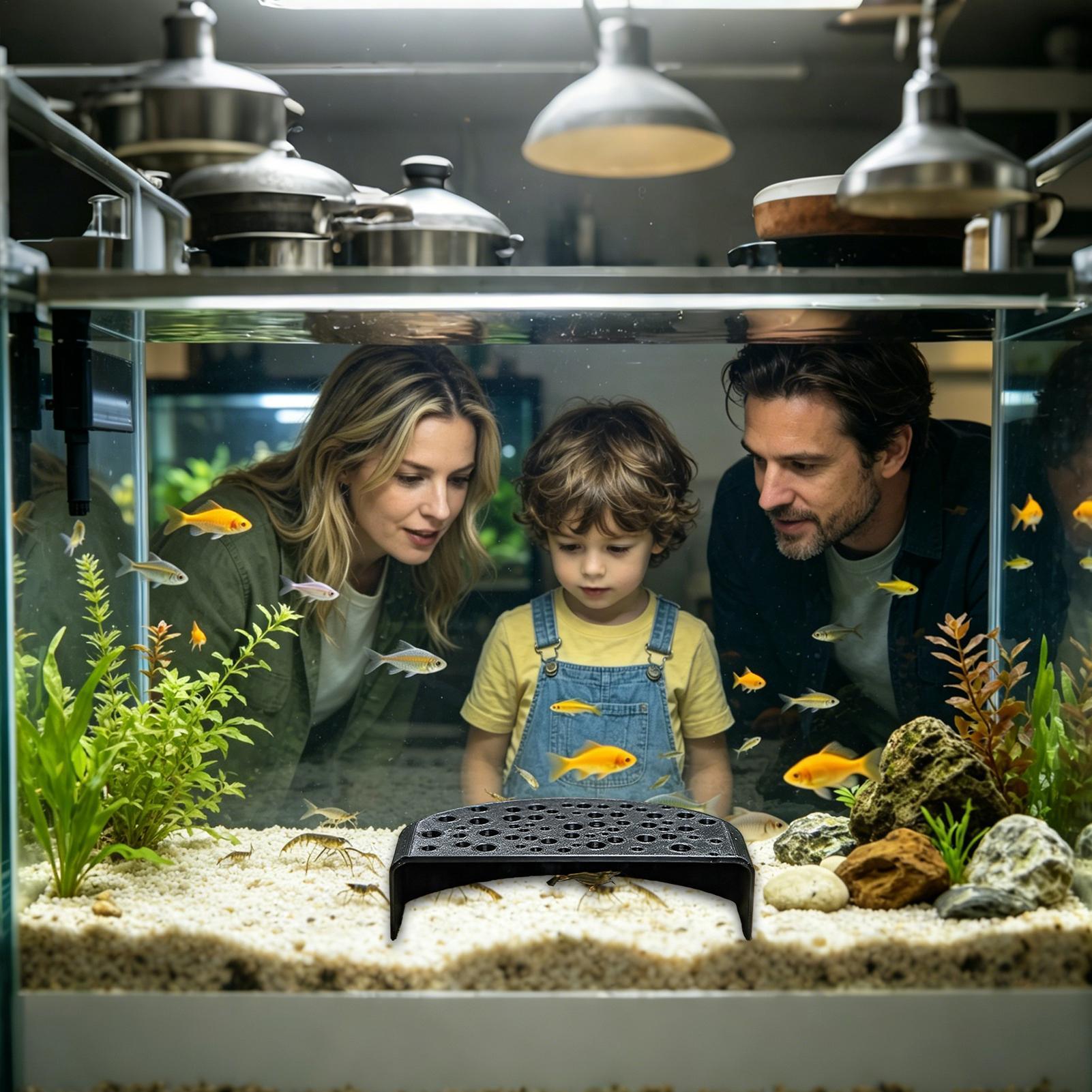 Ornamento Aquático para Descan - Aquarium Fish Zone avaliação e preço