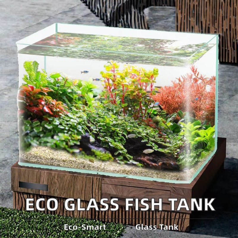 Embalagem de caixa de aquário  - Box Fish In Aquarium avaliação e preço