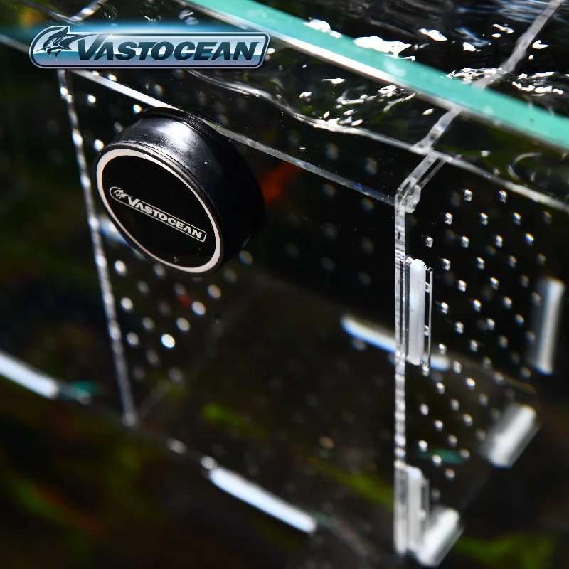VASTOCEANO-Magnético Combinado - Box Fish In Aquarium avaliação e preço