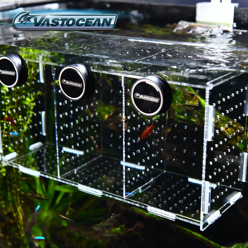 VASTOCEANO-Magnético Combinado - Box Fish In Aquarium avaliação e preço
