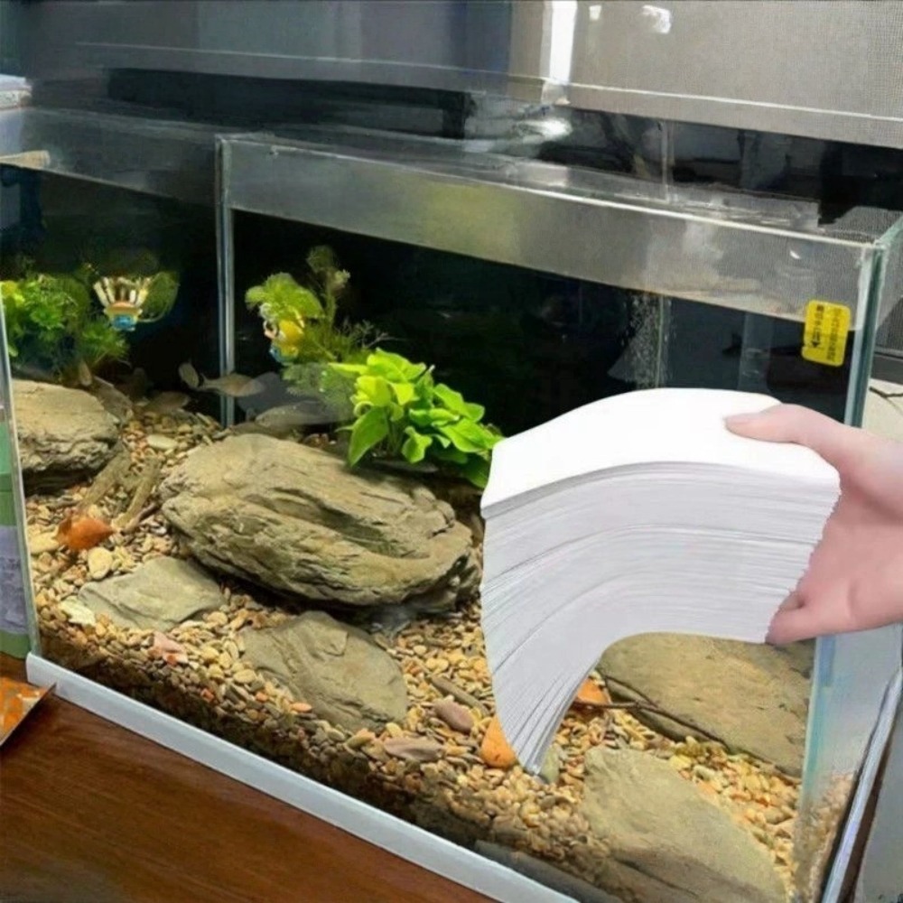 50 Peças de Papel Absorvente M - Aquarium Fish Yellow avaliação e preço