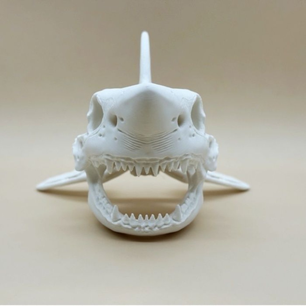 Acessórios de Cosplay em Forma - Aquarium Fish Shark avaliação e preço