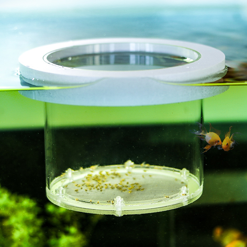 Caixa de isolamento de criação - Box Fish In Aquarium avaliação e preço