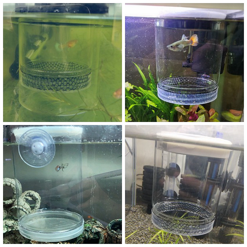 Multifuncional Suspenso Aquari - Aquarium Fish Supplier avaliação e preço