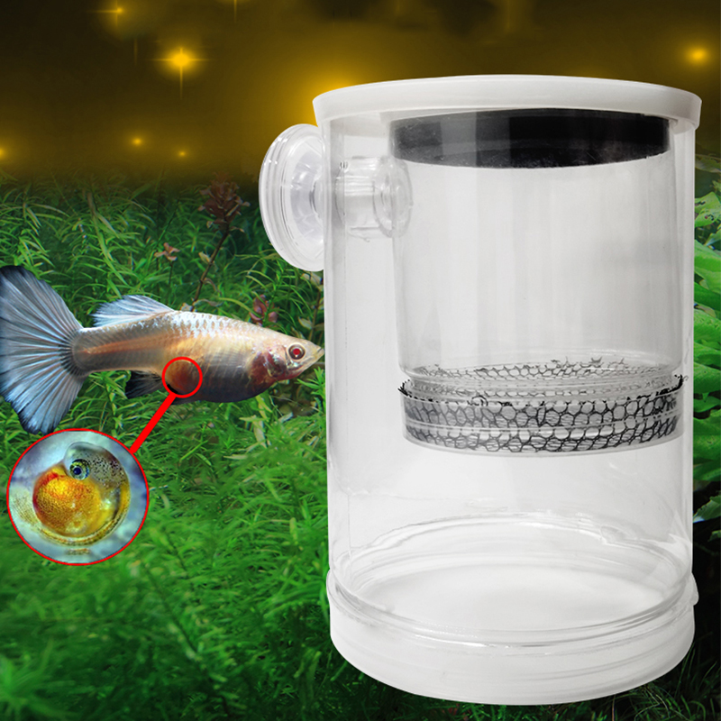 Multifuncional Suspenso Aquari - Aquarium Fish Supplier avaliação e preço