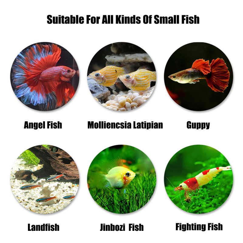 Multifuncional Suspenso Aquari - Aquarium Fish Supplier avaliação e preço