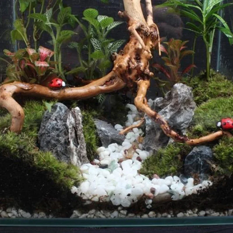 Natural Tree Tronco Driftwood  - Aquarium Fish Tank Price avaliação e preço