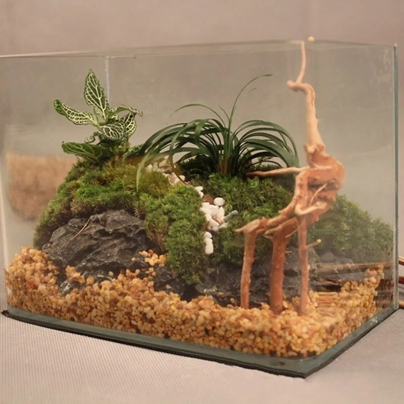Natural Tree Tronco Driftwood  - Aquarium Fish Tank Price avaliação e preço