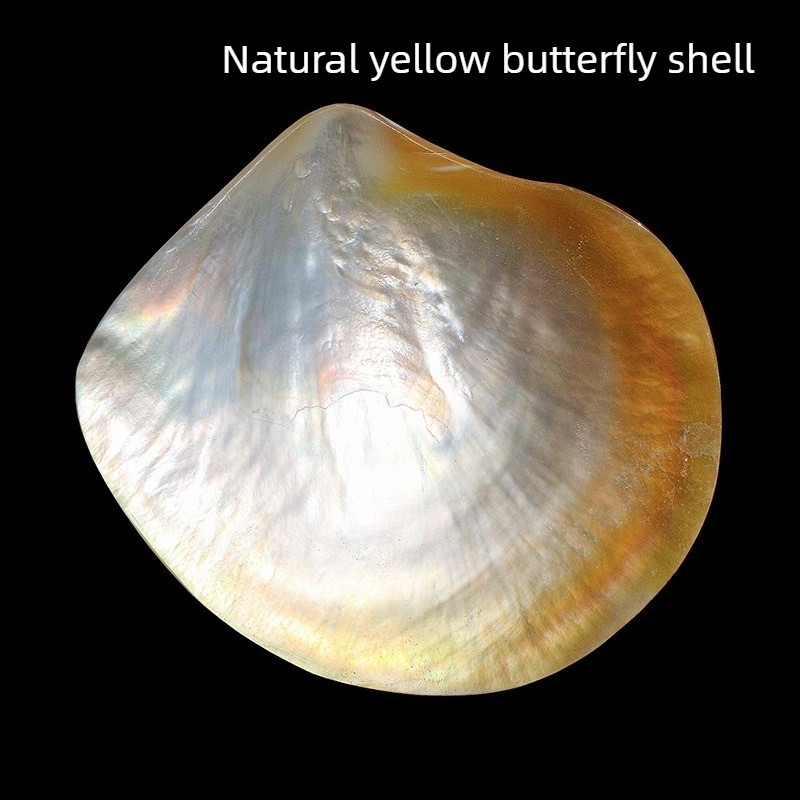 Coleção de Conchas Beibei Amar - Aquarium Fish Yellow avaliação e preço