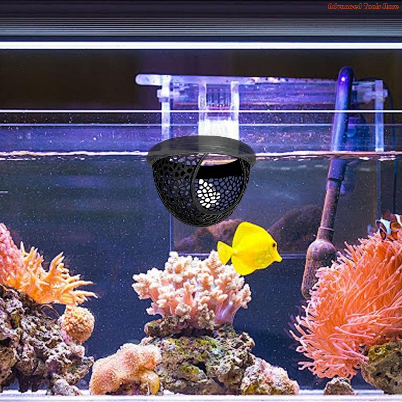 Cama descanso segura para peix - Aquarium Fish Zone avaliação e preço