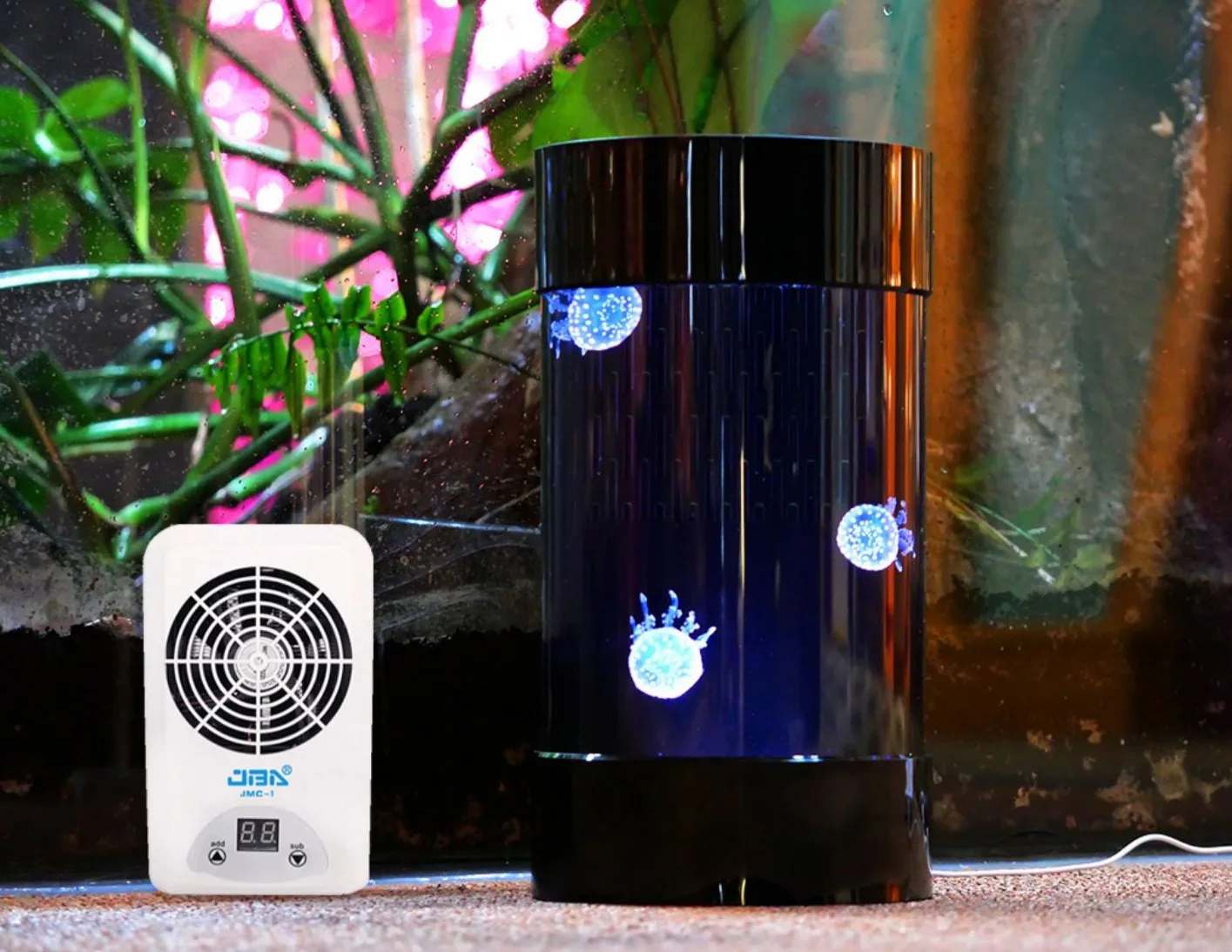 Melhor Venda na Amazon: Aquári - Aquarium Fish In Amazon avaliação e preço
