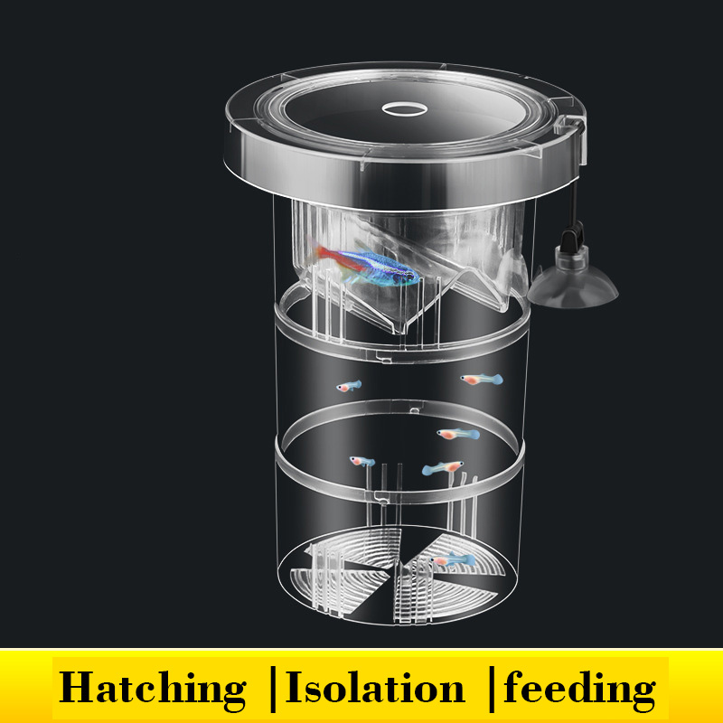 Caixa de isolamento flutuante  - Box Fish In Aquarium avaliação e preço