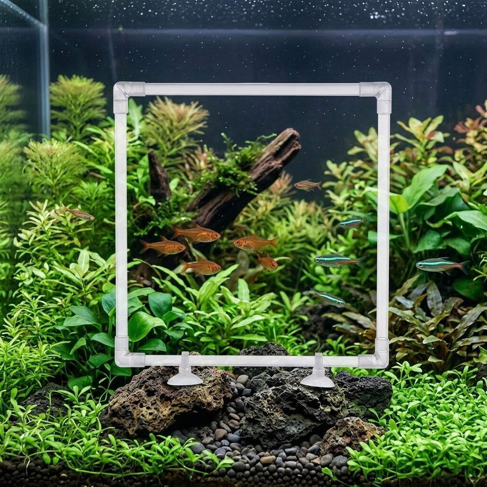 Cercado Flutuante para Plantas - Aquarium Fish Zone avaliação e preço