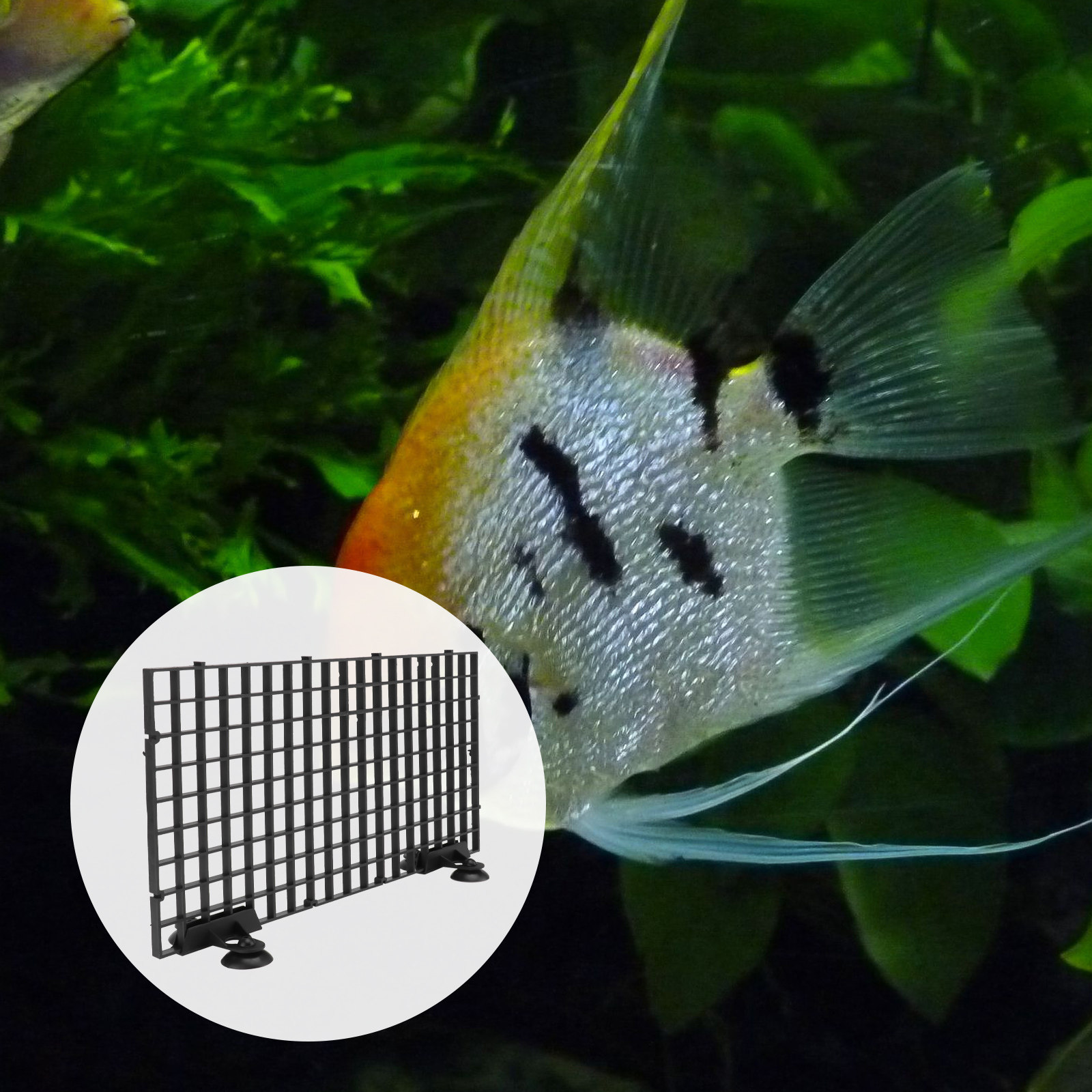Rede de Criação de Peixes Gran - Aquarium Fish Net Big Size avaliação e preço