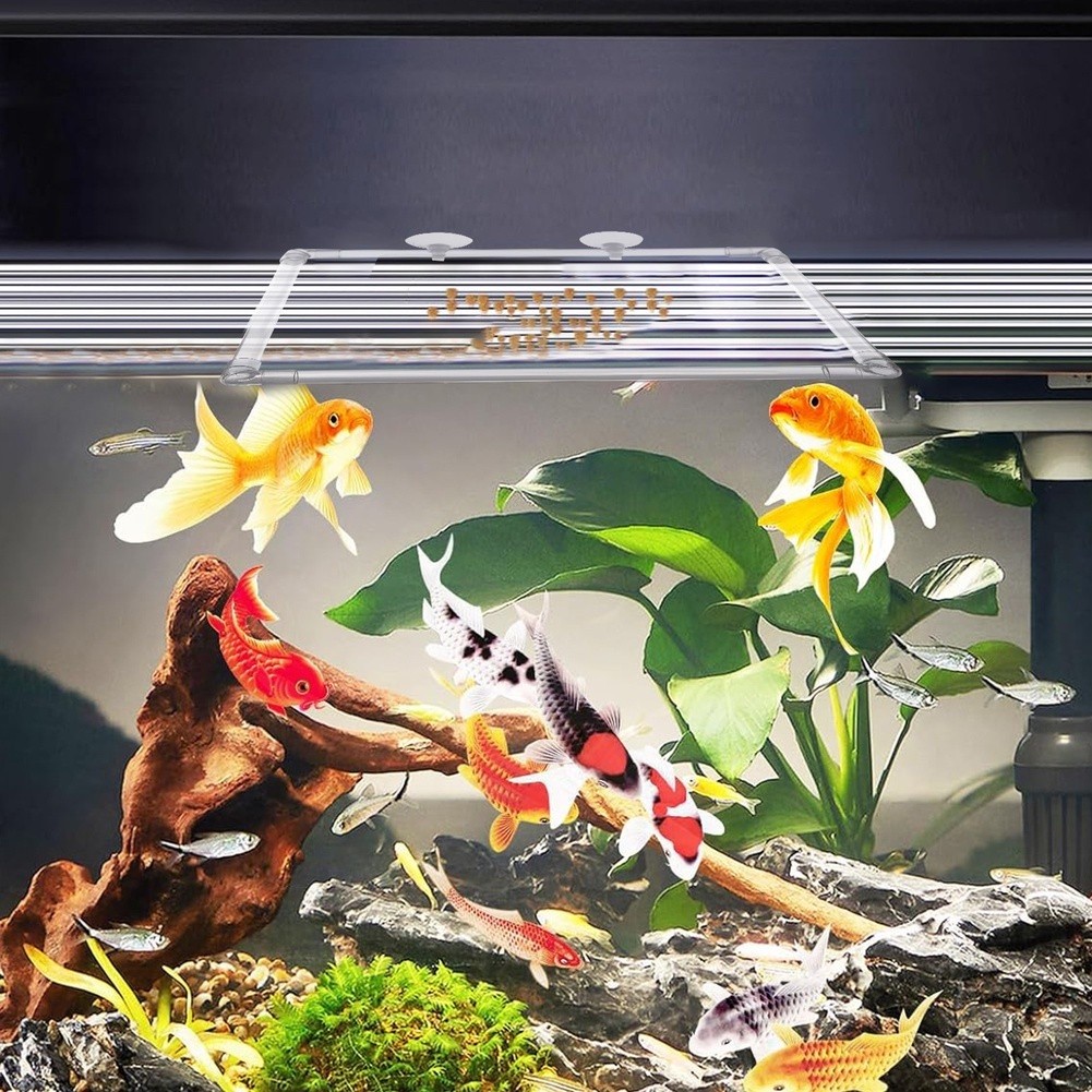 Cercado Flutuante para Plantas - Aquarium Fish Zone avaliação e preço