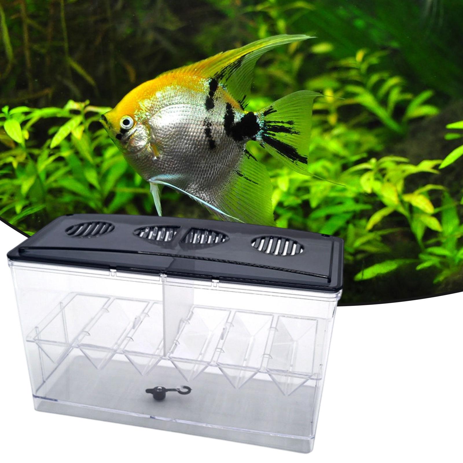 Caixa de isolamento flutuante  - Box Fish In Aquarium avaliação e preço
