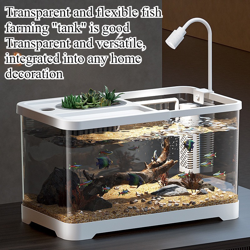 Aquário doméstico para sala de - Aquarium Goldfish avaliação e preço