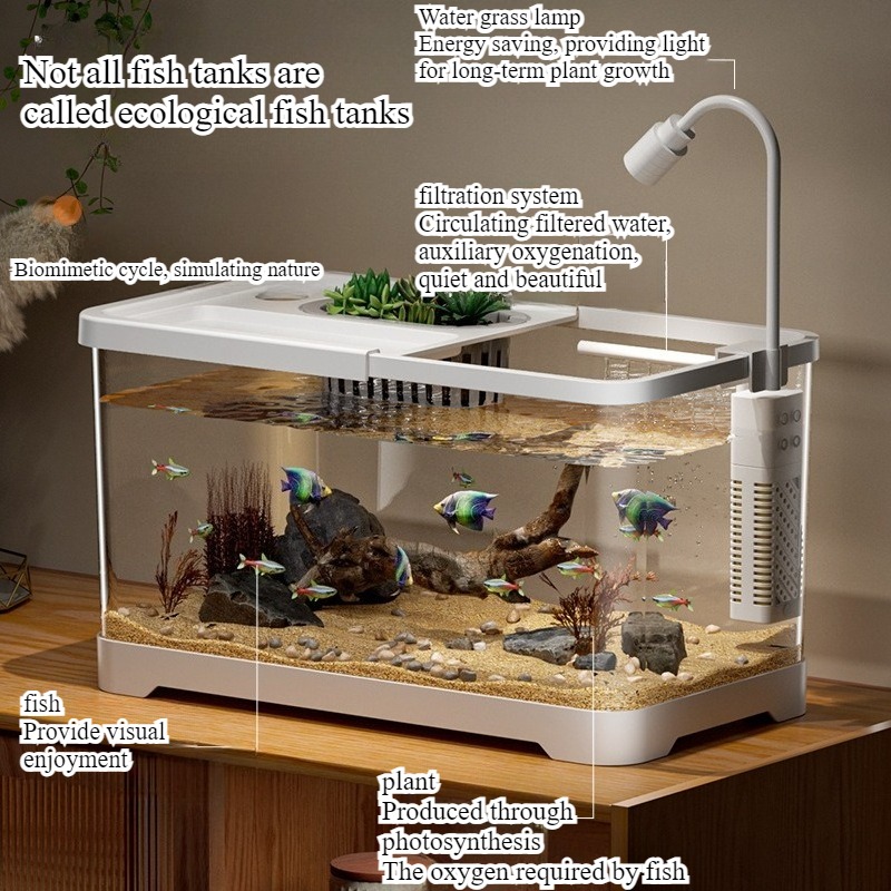 Aquário doméstico para sala de - Aquarium Goldfish avaliação e preço