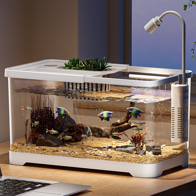 Aquário doméstico para sala de - Aquarium Goldfish avaliação e preço