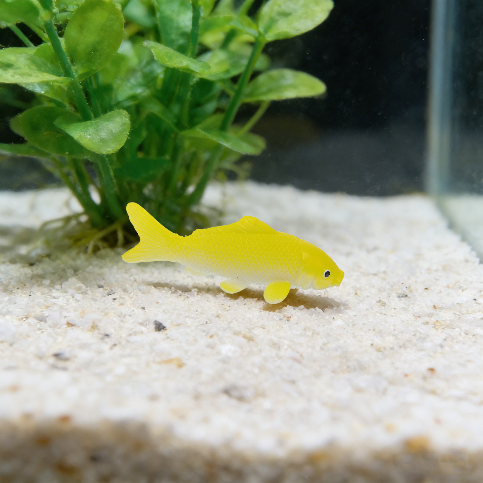 Conjunto de 3 Peças de Brinque - Aquarium Goldfish avaliação e preço