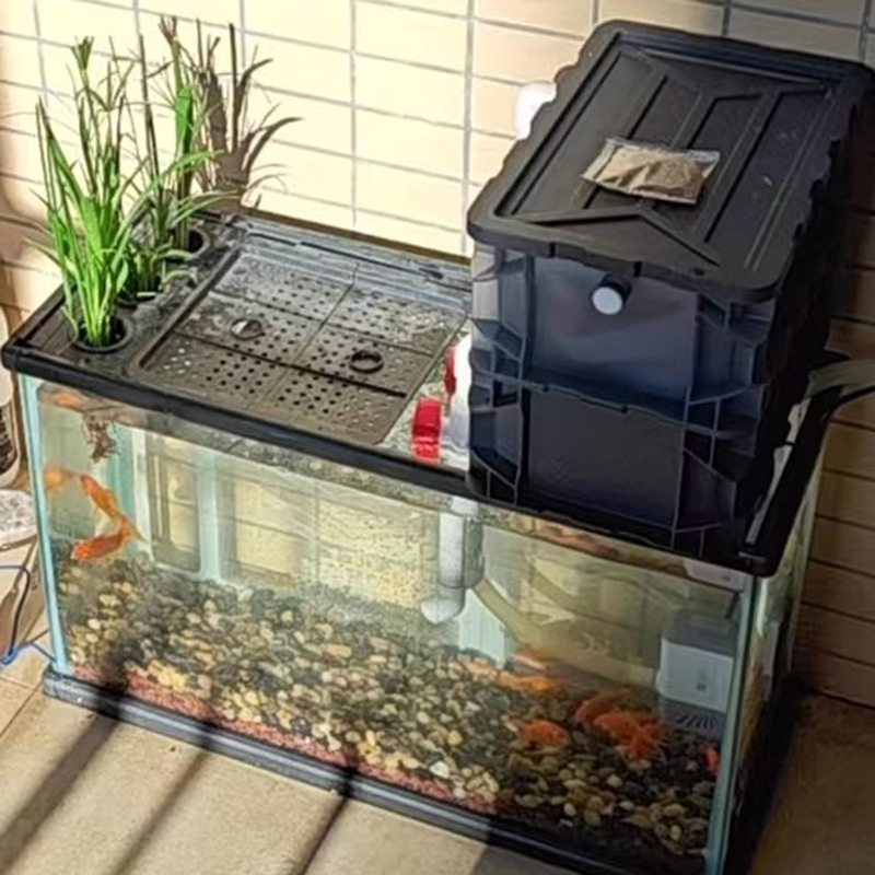 Filtros para tanque de peixes, - Box Fish In Aquarium avaliação e preço