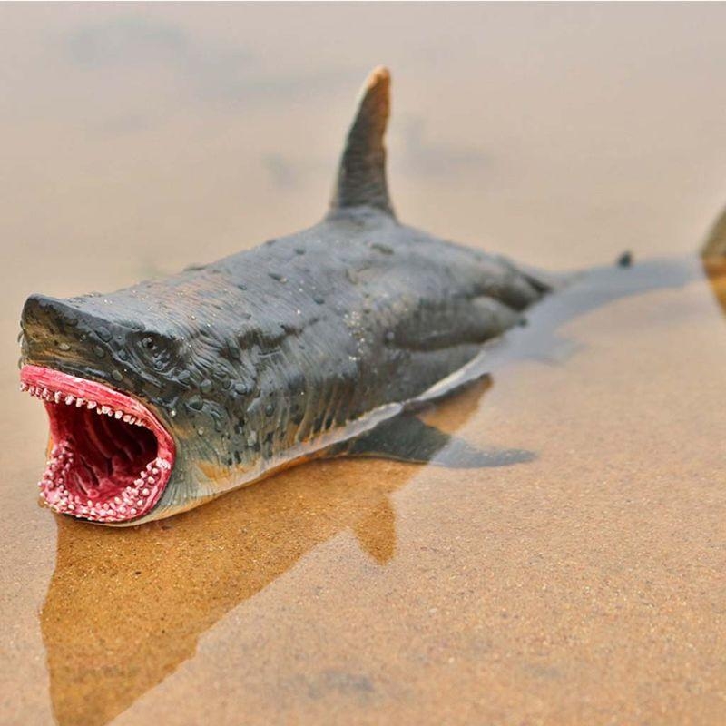 Q0KB Modelo realista tubarão F - Aquarium Fish Supplier avaliação e preço