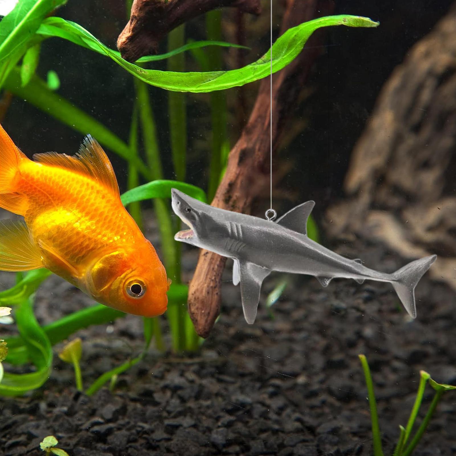 Decoração de paisagem de aquár - Aquarium Fish Shark avaliação e preço