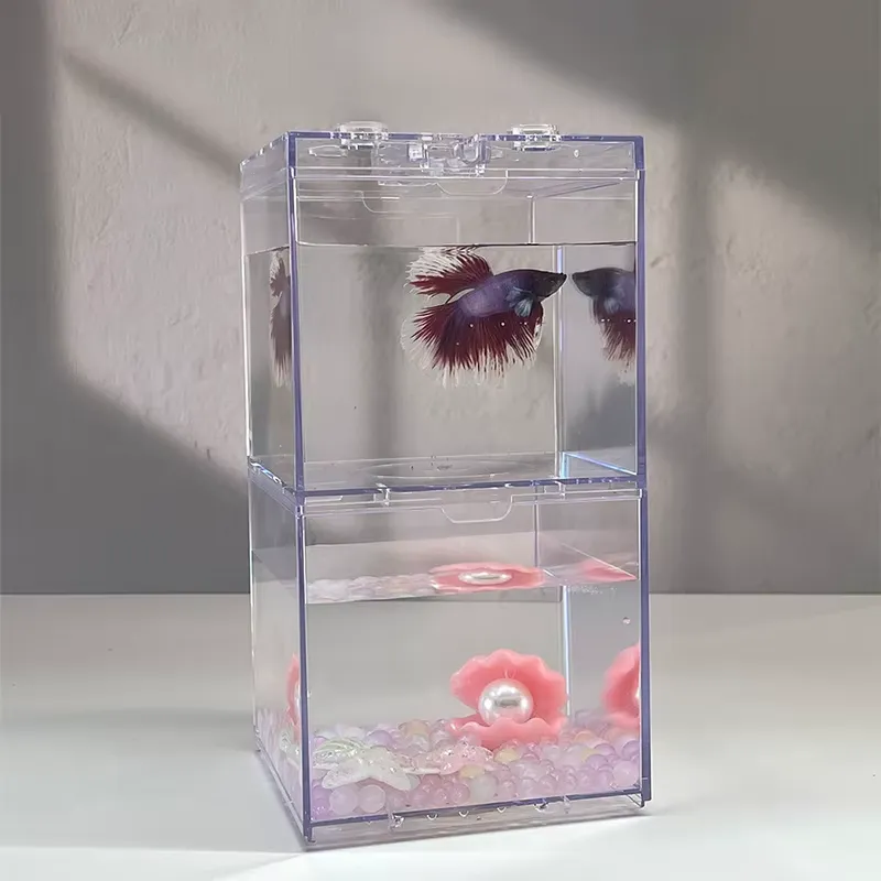 Mini Aquário Relaxlines para D - Box Fish In Aquarium avaliação e preço