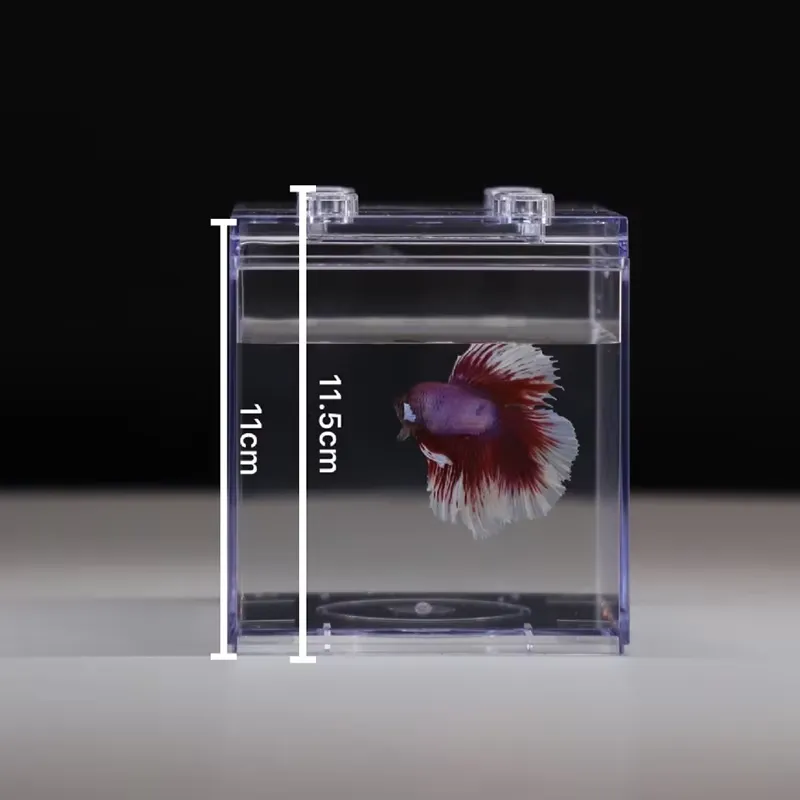 Mini Aquário Relaxlines para D - Box Fish In Aquarium avaliação e preço