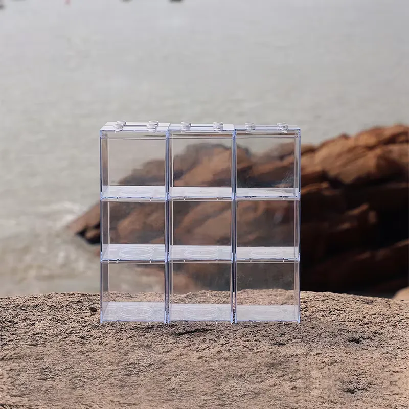 Mini Aquário Relaxlines para D - Box Fish In Aquarium avaliação e preço
