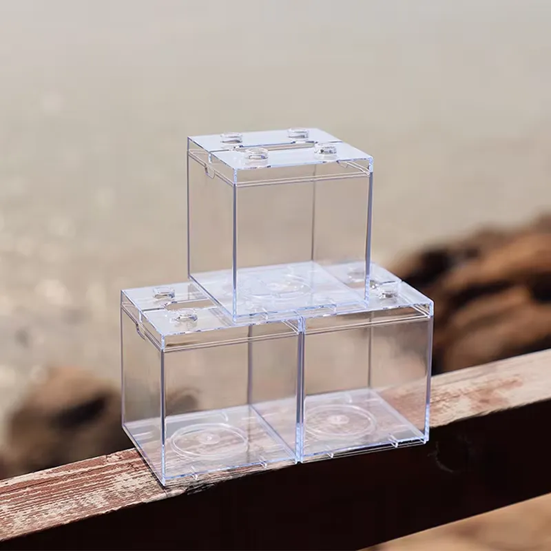 Mini Aquário Relaxlines para D - Box Fish In Aquarium avaliação e preço