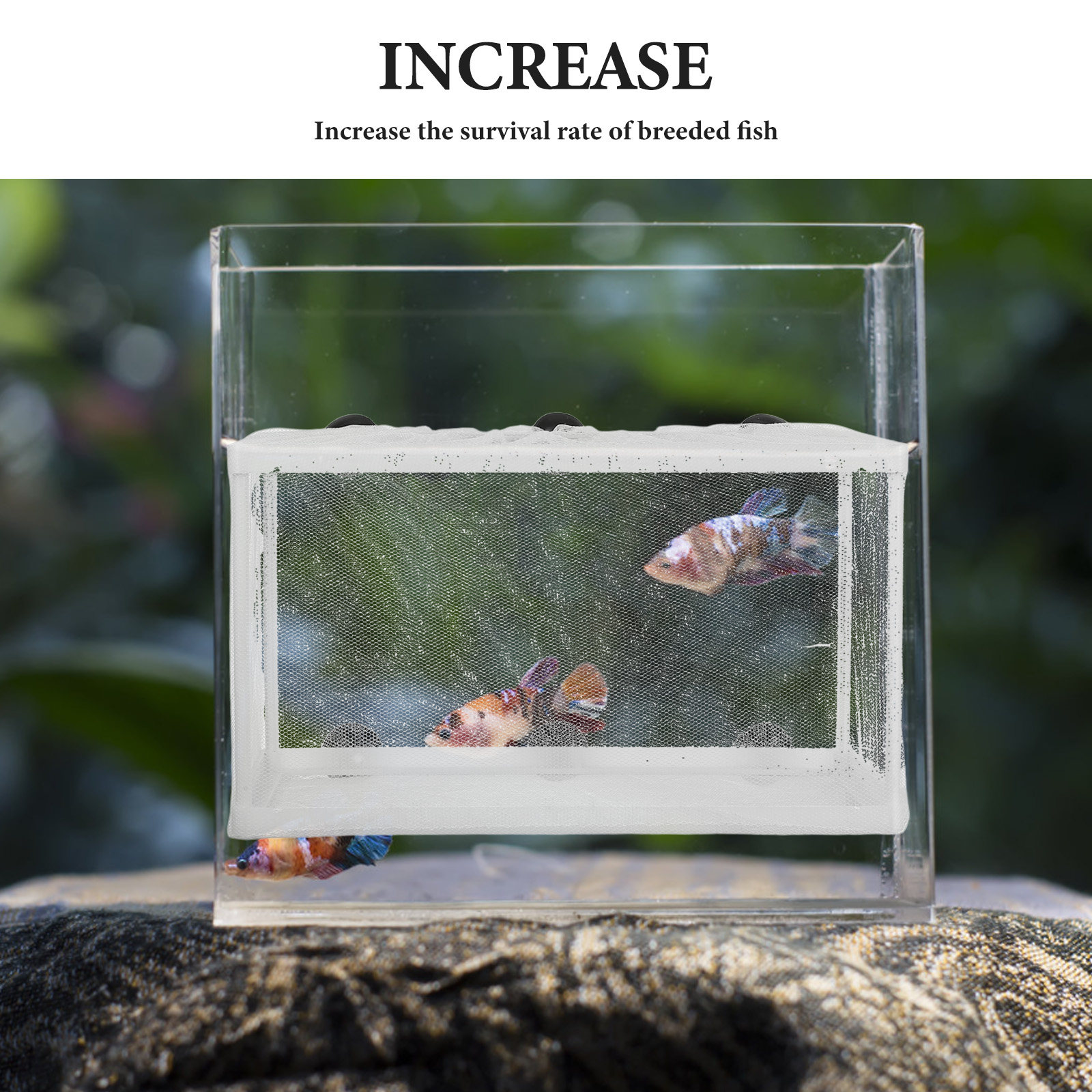 Rede de Criação de Peixes Gran - Aquarium Fish Net Big Size avaliação e preço