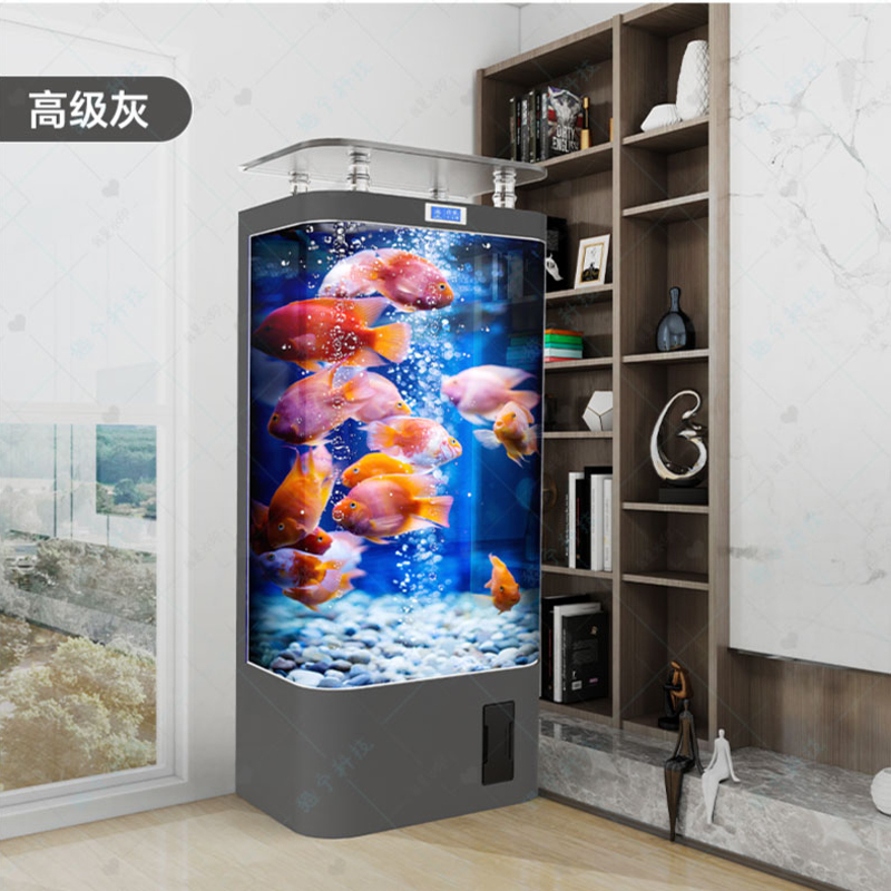 Tanque de peixes dourados inte - Aquarium Goldfish avaliação e preço