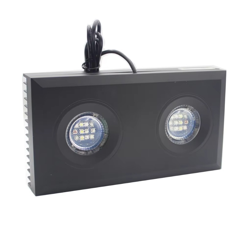 Fornecedor da China Luz de aqu - Aquarium Fish Supplier avaliação e preço