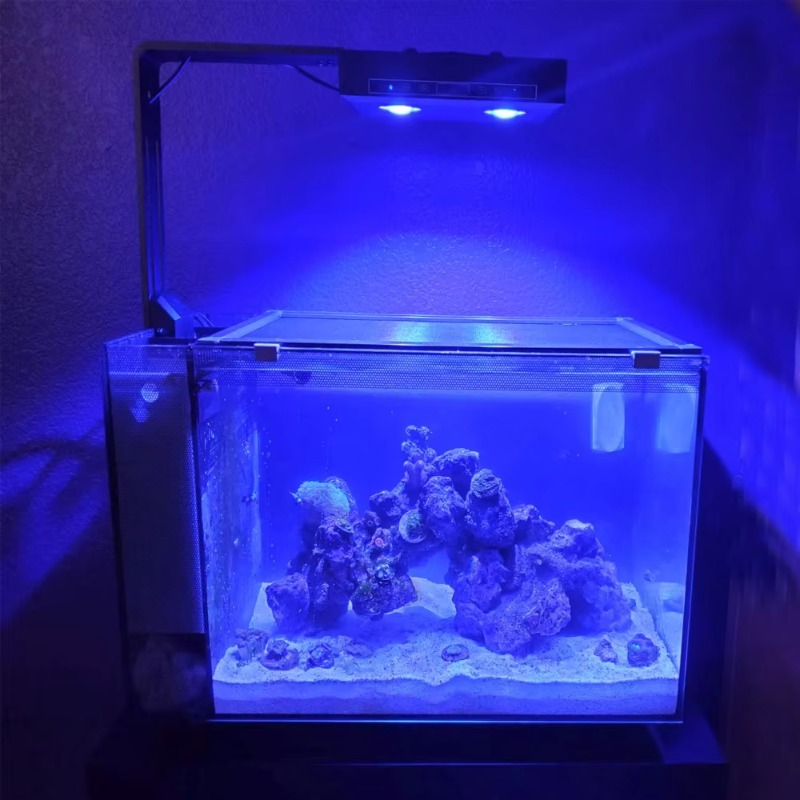Fornecedor da China Luz de aqu - Aquarium Fish Supplier avaliação e preço