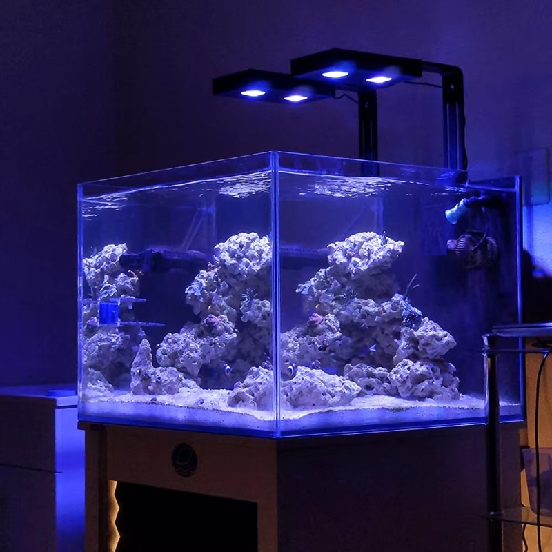 Fornecedor da China Luz de aqu - Aquarium Fish Supplier avaliação e preço