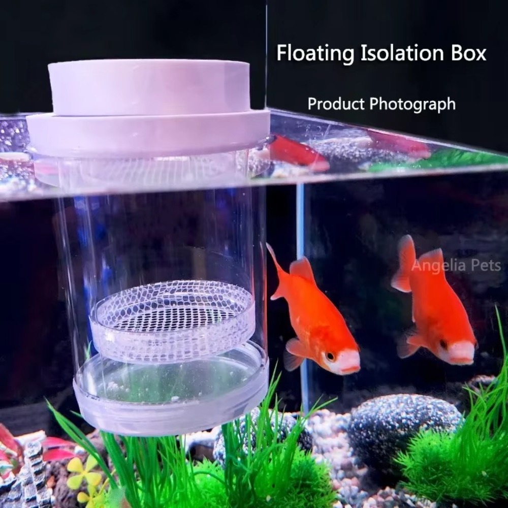 Plástico flutuante caixa de is - Box Fish In Aquarium avaliação e preço