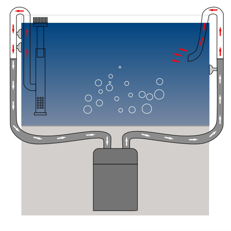 Aço inoxidável Inflow Outflow  - Aquarium Fish Tank Price avaliação e preço
